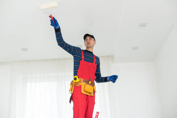 Best Fire-Damaged Drywall Repair  in Chewelah, WA